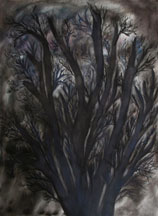 Dark Tree 22in x 28in watercolor